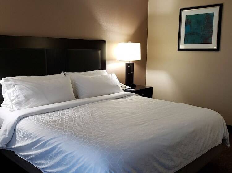 חדר סטנדרט, Holiday Inn Express Detroit Birmingham, An Ihg