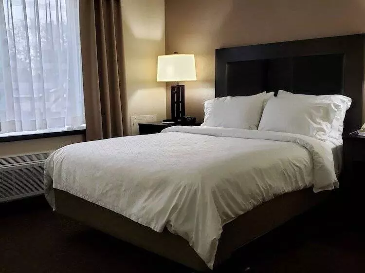 スタンダードルーム, Holiday Inn Express Detroit Birmingham, An Ihg