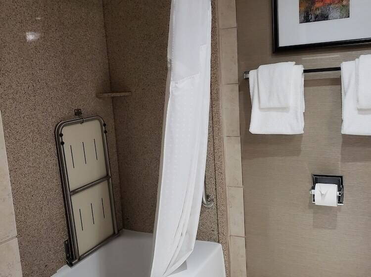 חדר סטנדרט מותאם לאדם עם מוגבלויות, Holiday Inn Express Detroit Birmingham, An Ihg