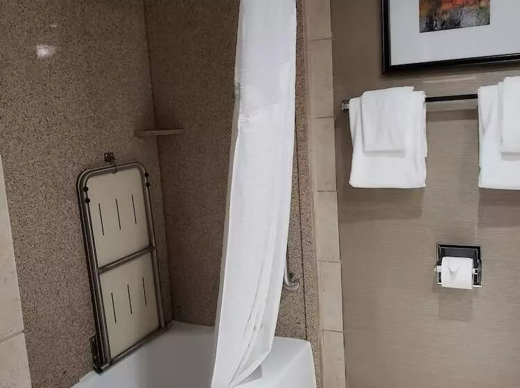 身障者適用スタンダードルーム, Holiday Inn Express Detroit Birmingham, An Ihg