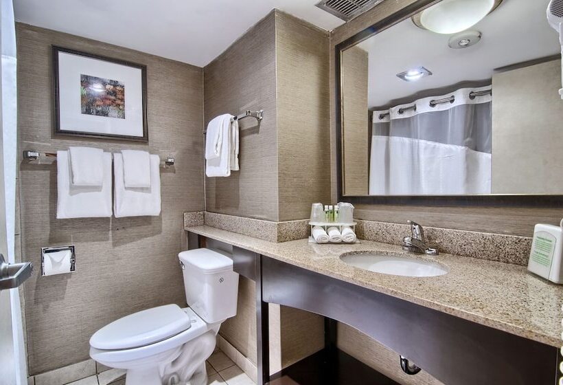 חדר סטנדרט מותאם לאדם עם מוגבלויות, Holiday Inn Express Detroit Birmingham, An Ihg