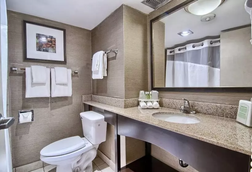 身障者適用スタンダードルーム, Holiday Inn Express Detroit Birmingham, An Ihg