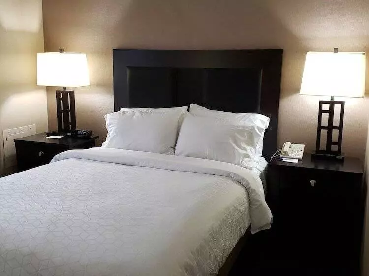 身障者適用スタンダードルーム, Holiday Inn Express Detroit Birmingham, An Ihg