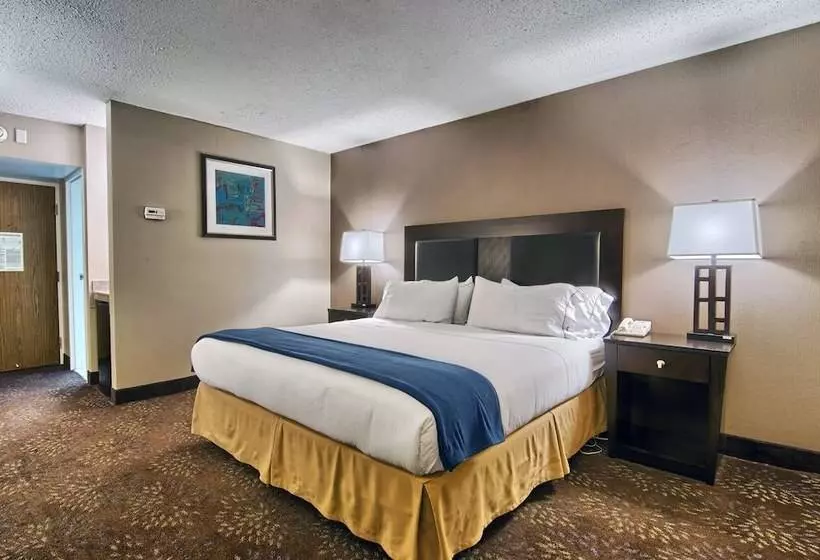 身障者適用スタンダードルーム, Holiday Inn Express Detroit Birmingham, An Ihg