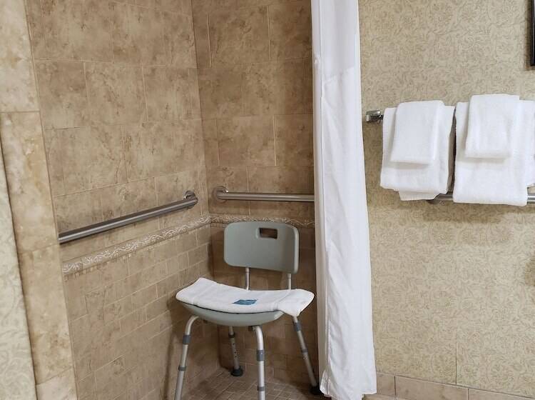 Номер Стандарт Адаптированный для Инвалидов, Holiday Inn Express Detroit Birmingham, An Ihg