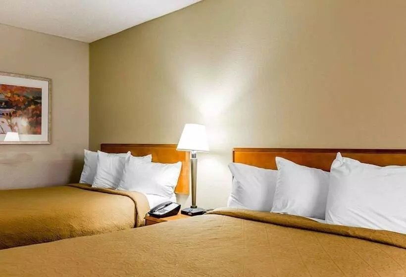 ２ダブルベッドのスタンダードルーム, Quality Inn At The Mall  Valdosta
