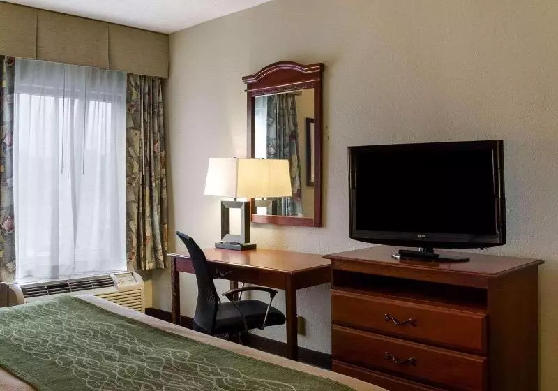 キングサイズベッドのスタンダードルーム, Quality Inn