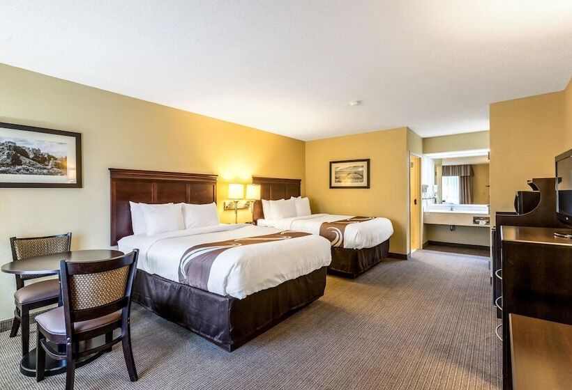 غرفه قياسيه سريرين مزدوجين, Quality Inn Union City Us 51