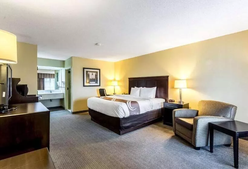 キングサイズベッドのスタンダードルーム, Quality Inn Union City Us 51