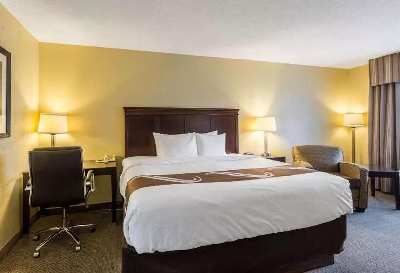 キングサイズベッドのスタンダードルーム, Quality Inn Union City Us 51