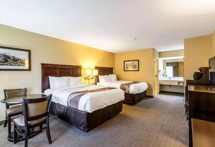 身障者適用スタンダードルーム, Quality Inn Union City Us 51