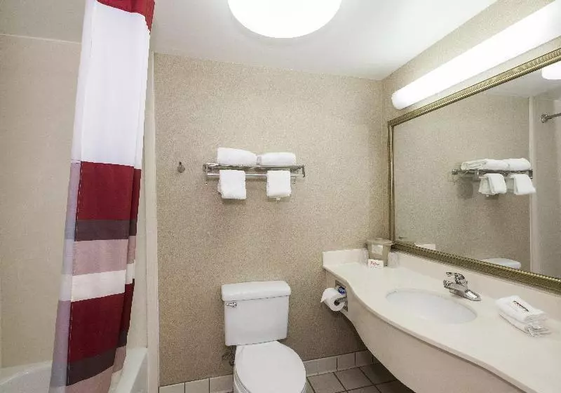 キングサイズベッドのスーペリアルーム, Red Roof Inn Tupelo
