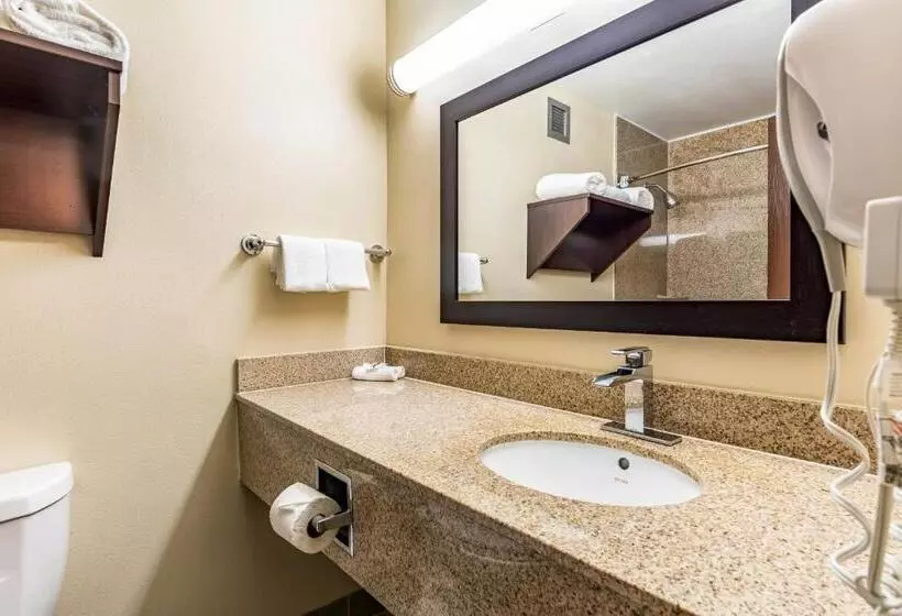 キングサイズベッドのスイートルーム, Red Roof Inn Plus & Suites Houston   Iah Airport Sw