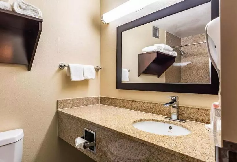 クイーンサイズベッドのスイートルーム, Red Roof Inn Plus & Suites Houston   Iah Airport Sw