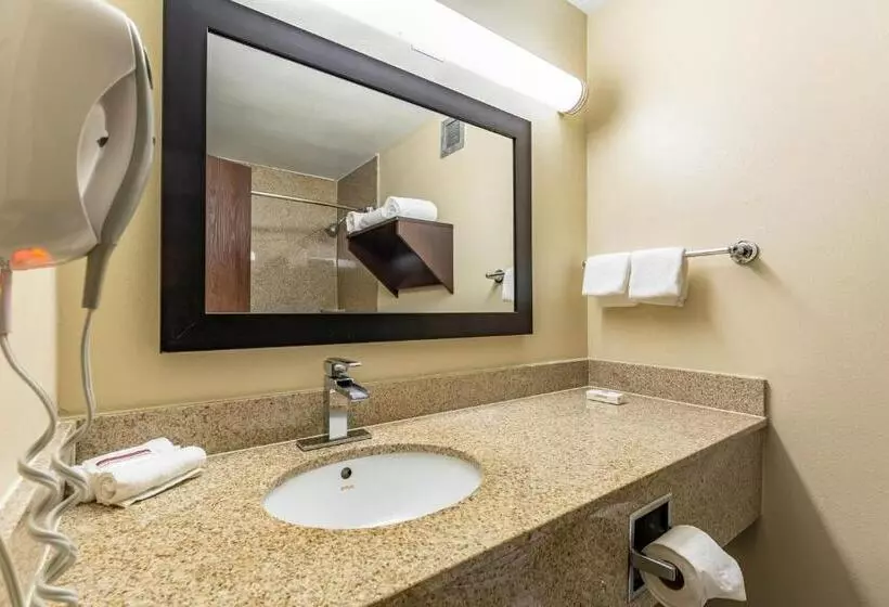 キングサイズベッドのスーペリアルーム, Red Roof Inn Plus & Suites Houston   Iah Airport Sw