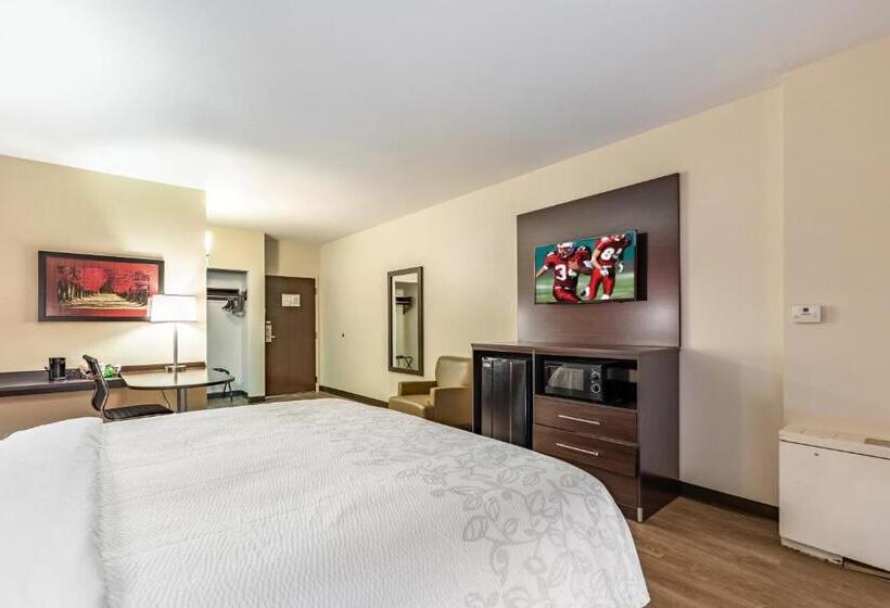 带大床的高级房间, Red Roof Inn Plus & Suites Houston   Iah Airport Sw