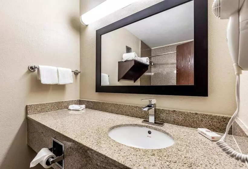 キングサイズベッドのデラックスルーム, Red Roof Inn Plus & Suites Houston   Iah Airport Sw