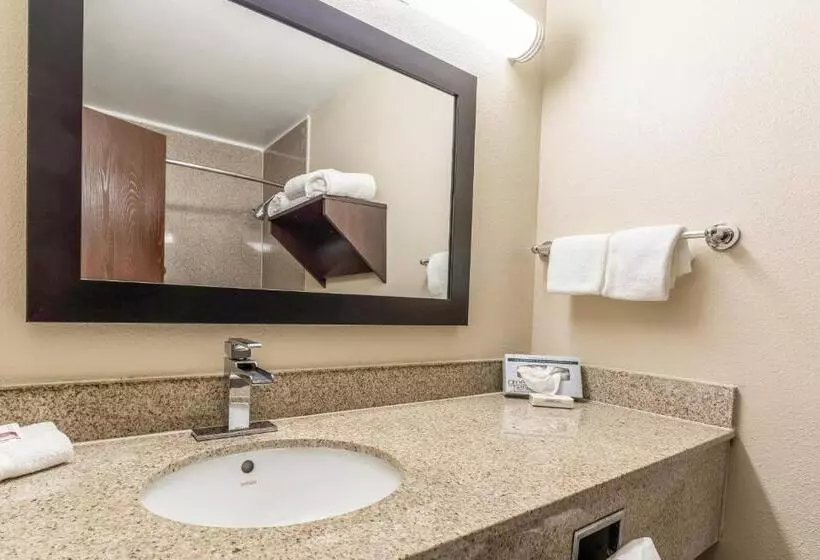 デラックスルーム, Red Roof Inn Plus & Suites Houston   Iah Airport Sw