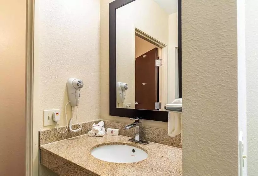 障害者適応デラックスルーム, Red Roof Inn Plus & Suites Houston   Iah Airport Sw