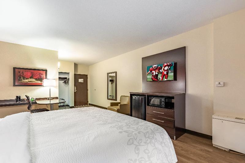 带大床的高级房间, Red Roof Inn Plus & Suites Houston   Iah Airport Sw