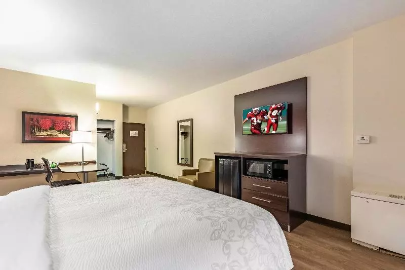 キングサイズベッドのスーペリアルーム, Red Roof Inn Plus & Suites Houston   Iah Airport Sw