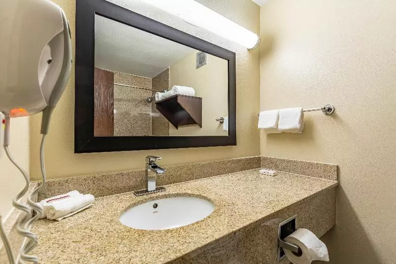 キングサイズベッドのスーペリアルーム, Red Roof Inn Plus & Suites Houston   Iah Airport Sw