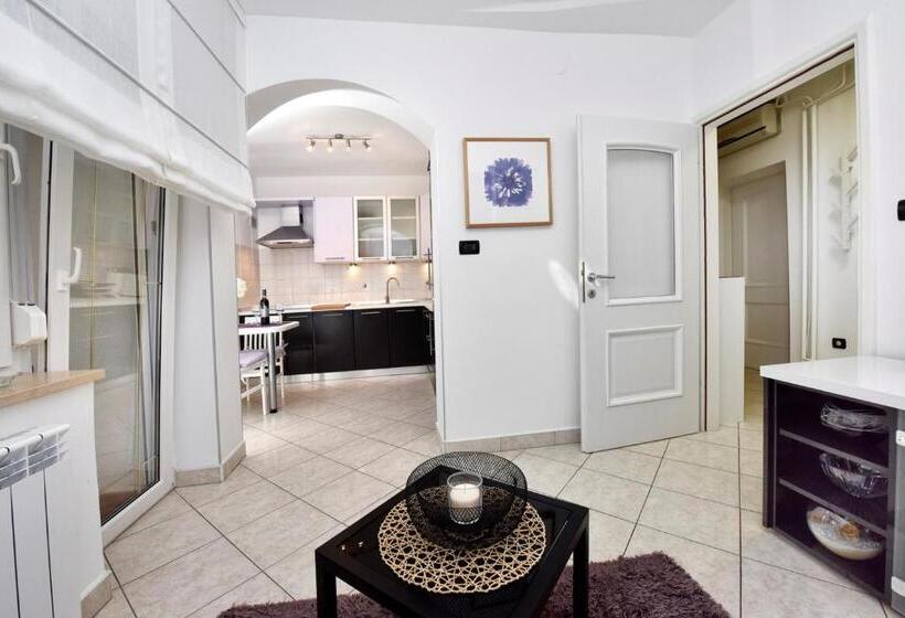 דירת חדר, Apartments Lavizatic