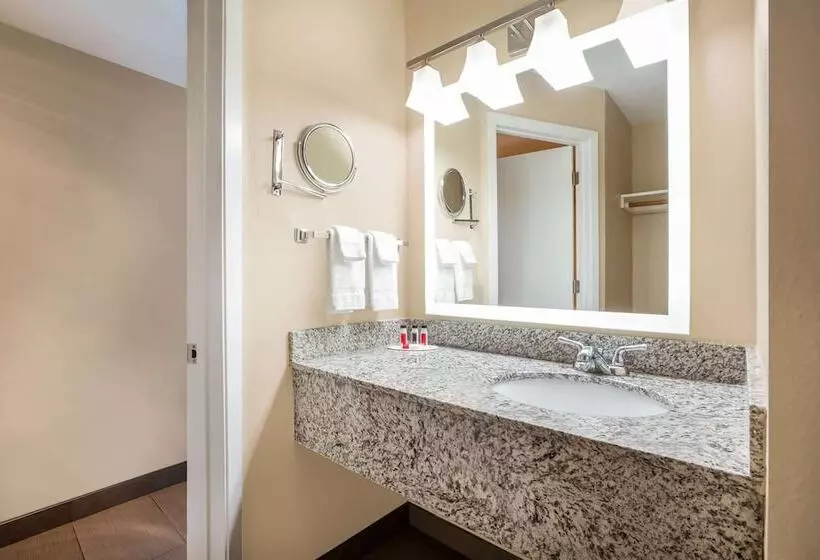 身障者適用スタンダードルーム, Baymont By Wyndham Tricities/kennewick Wa
