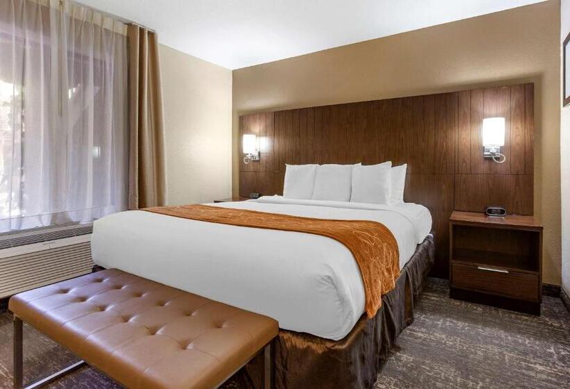 اتاق استاندارد با تخت بزرگ, Comfort Suites At Sabino Canyon