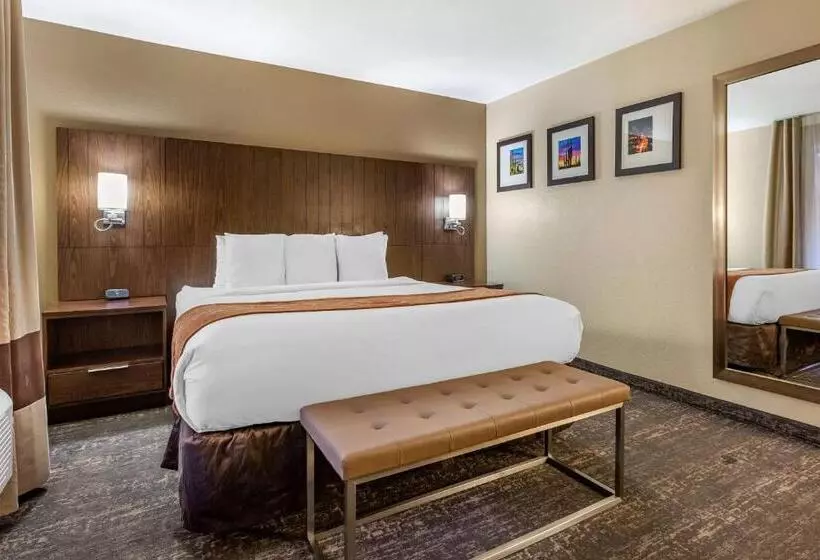 اتاق استاندارد با تخت بزرگ, Comfort Suites At Sabino Canyon
