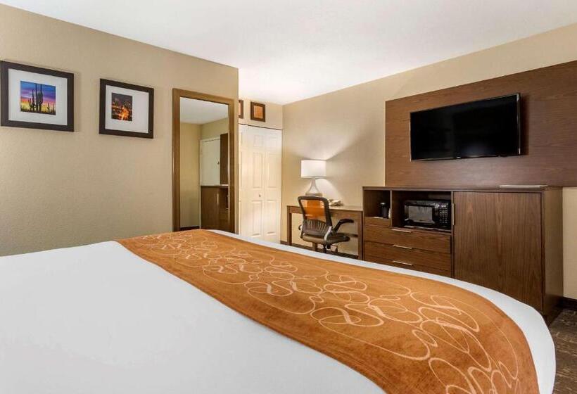 اتاق استاندارد با تخت بزرگ, Comfort Suites At Sabino Canyon