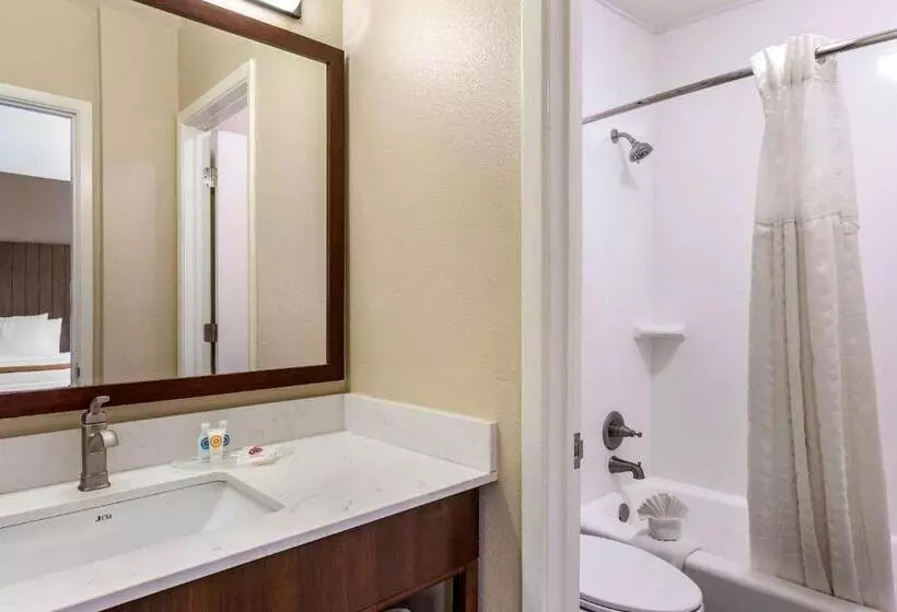 سوئیت با تخت بزرگ, Comfort Suites At Sabino Canyon
