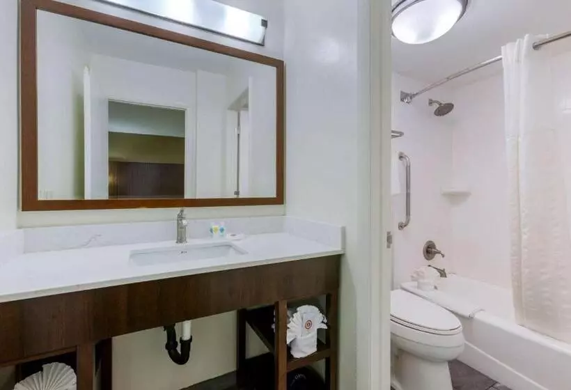 سوئیت با تخت بزرگ, Comfort Suites At Sabino Canyon