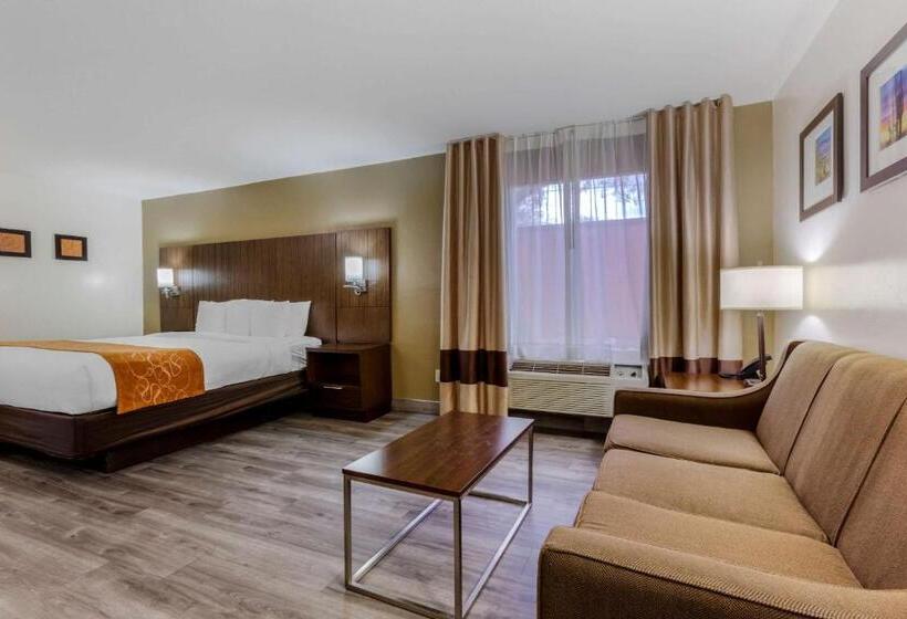 سوئیت با تخت بزرگ, Comfort Suites At Sabino Canyon