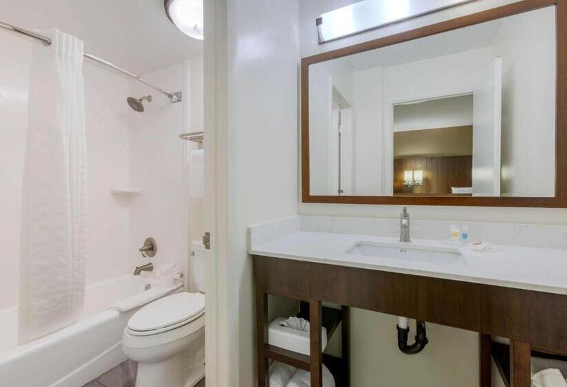 سوییت, Comfort Suites At Sabino Canyon