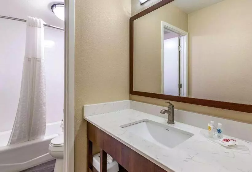اتاق استاندارد برای معلولان, Comfort Suites At Sabino Canyon