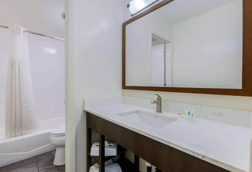 اتاق استاندارد برای معلولان, Comfort Suites At Sabino Canyon
