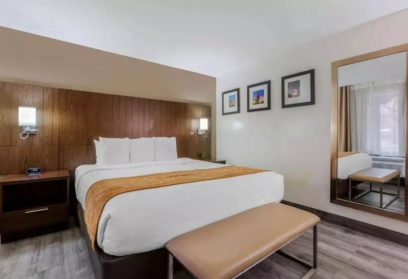 اتاق استاندارد برای معلولان, Comfort Suites At Sabino Canyon