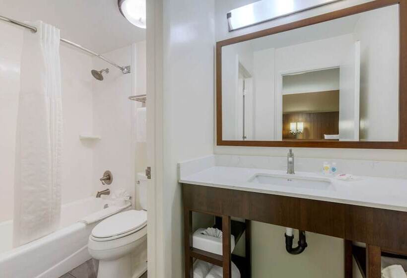 سوییت, Comfort Suites At Sabino Canyon