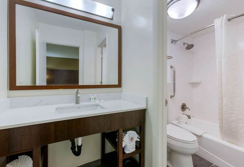 سوییت, Comfort Suites At Sabino Canyon