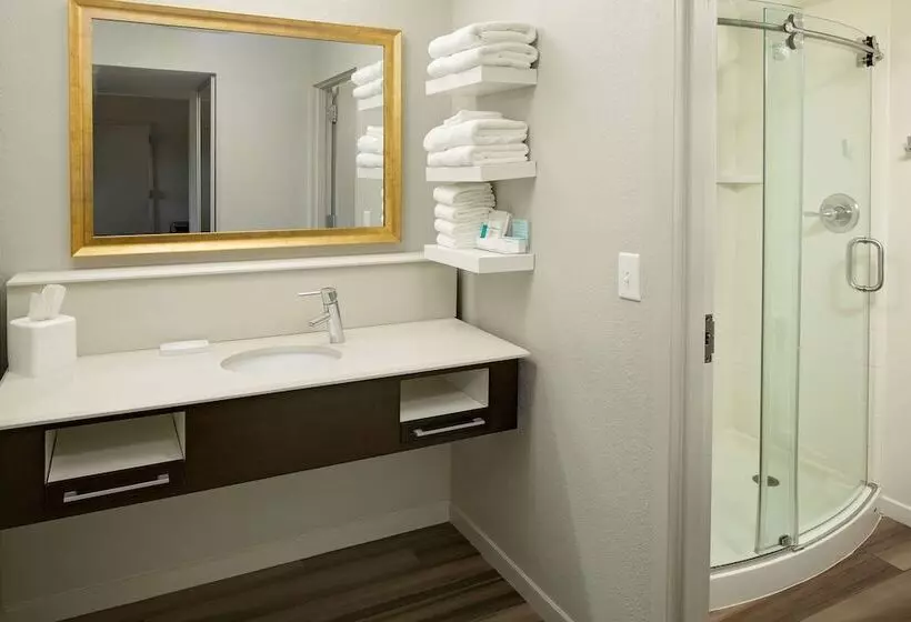 Sviitti, Hampton Inn & Suites Nashvilleairport
