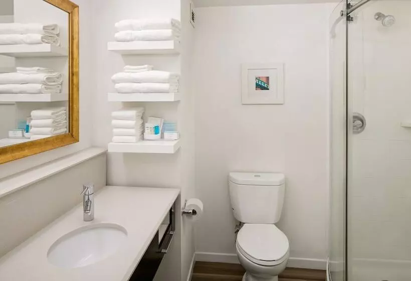 Standard-huone, Hampton Inn & Suites Nashvilleairport