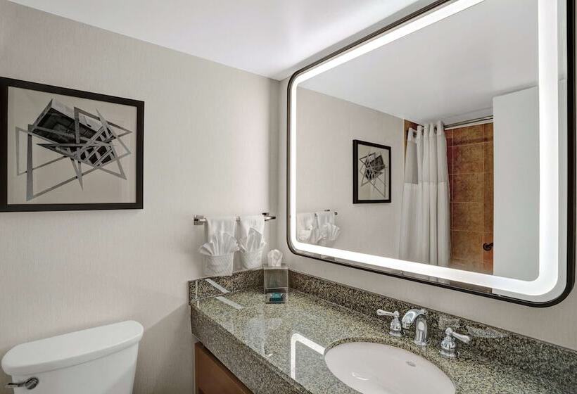 标准间, Hilton Arlington National Landing