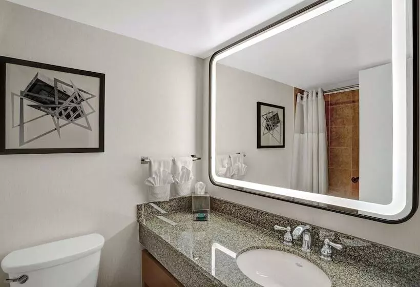 اتاق استاندارد, Hilton Arlington National Landing