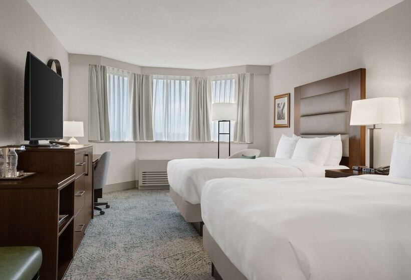 Номер Стандарт, Hilton Arlington National Landing