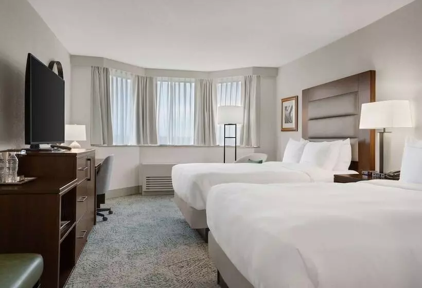 اتاق استاندارد, Hilton Arlington National Landing