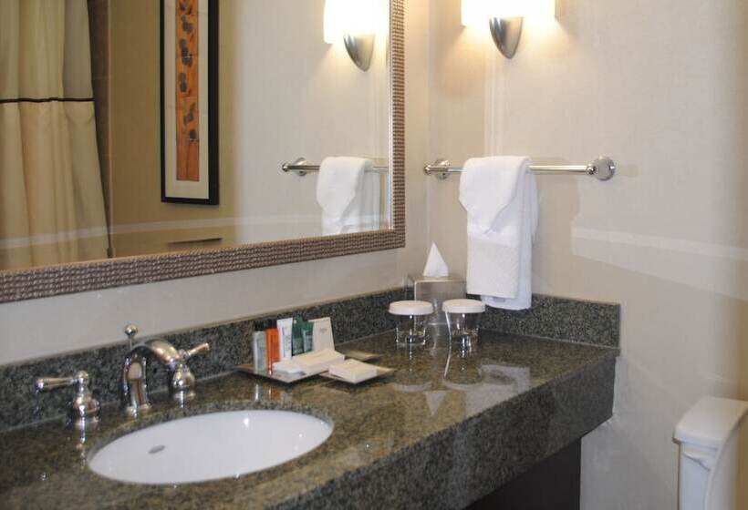 标准间, Hilton Arlington National Landing