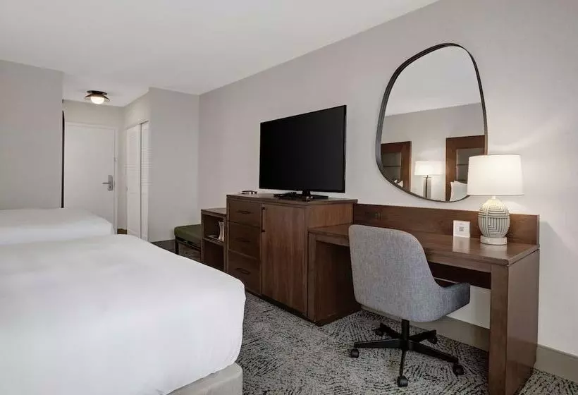 اتاق استاندارد, Hilton Arlington National Landing