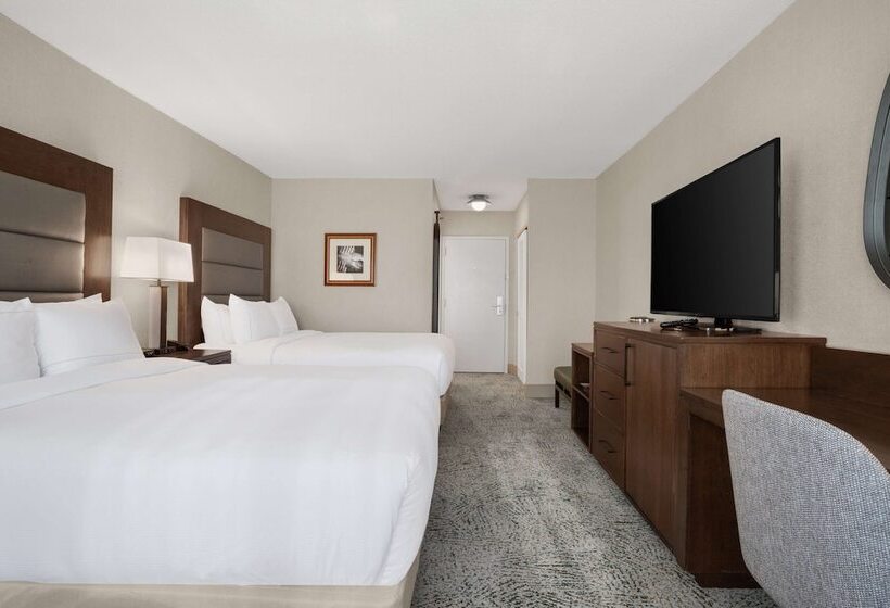 Номер Стандарт, Hilton Arlington National Landing