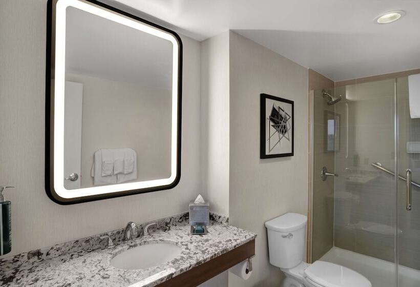 小型套房, Hilton Arlington National Landing